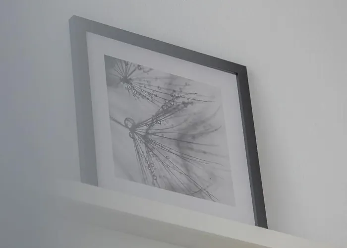 Vip Grabskiego Rzeszow