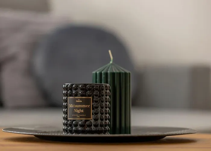 Vip Grabskiego Apartment *