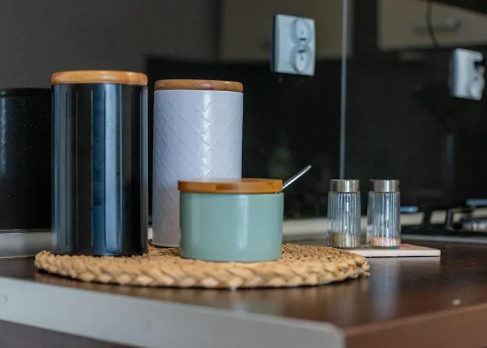 Apartment Vip Grabskiego Rzeszow